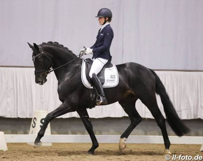Beatrice Buchwald and Gaitano at the 2019 Munster Stallion Sport test :: Photo © LL-foto