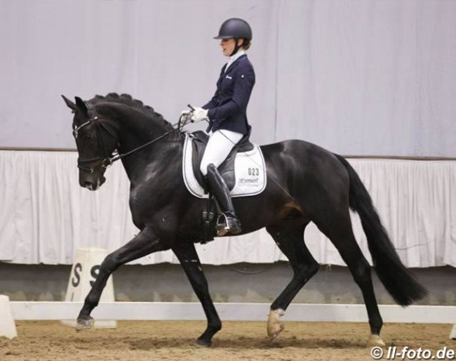 Beatrice Buchwald and Gaitano at the 2019 Munster Stallion Sport test :: Photo © LL-foto