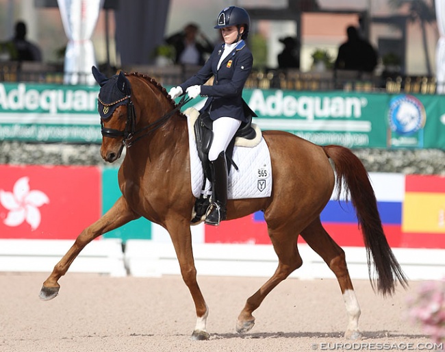 Natalia Bacariza Danguillecourt and Romantico Ymas at the 2019 CDI Wellington :: Photo © Astrid Appels