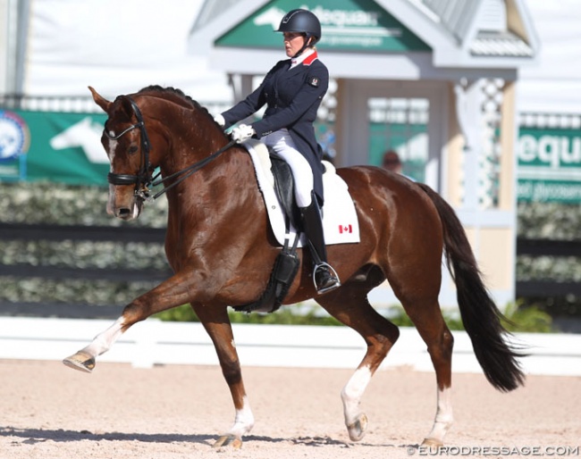 Brittany Fraser-Beaulieu and All In at the 2019 CDI 5* Wellington :: Photo © Astrid Appels