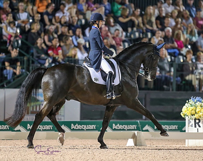 Kasey Perry-Glass and Gorklintgaards Dublet at the 2019 CDI-W Wellington :: Photo © Sue Stickle