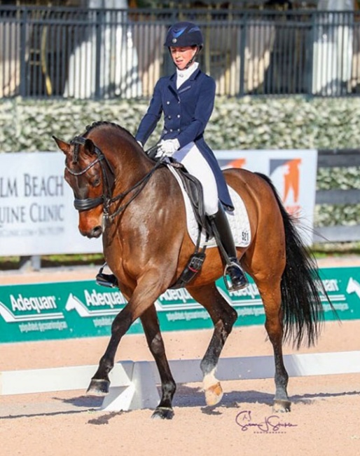 Rebecca Waite and Doktor at their CDI show debut at the 2019 CDI-W Wellington :: Photo © Sue Stickle