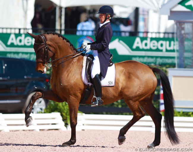 Mette Rosencrantz and Marron at the 2016 CDI Wellington :: Photo © Astrid Appels
