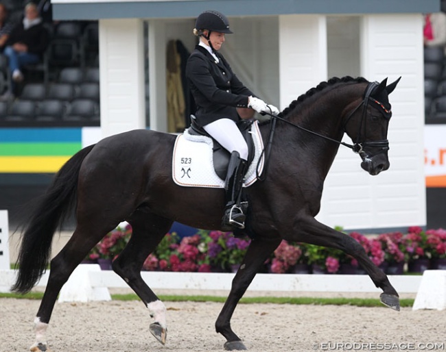 Ann-Christin Wienkamp and Don Martillo win the 2017 World Young Horse Championships in Ermelo in the 5-year old division :: Photo © Astrid Appels