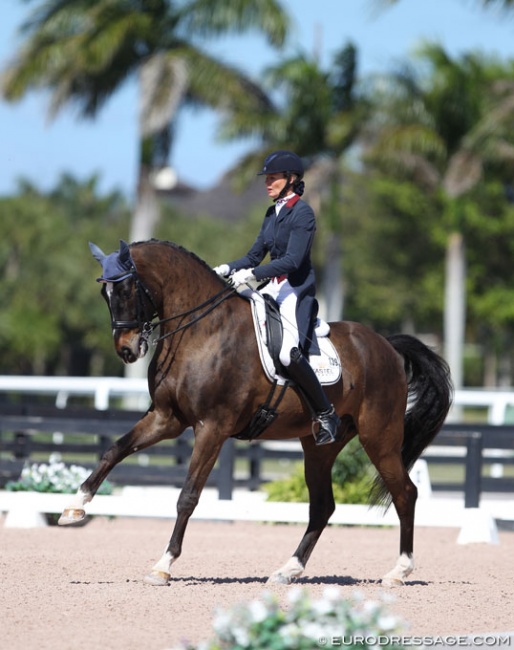 Charlotte Jorst and Ray Dance at the 2017 CDN Wellington :: Photo © Astrid Appels