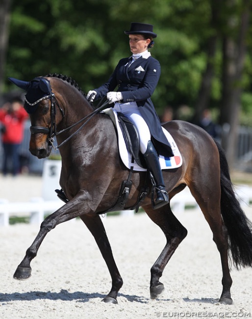 Barbara Clément-Klinger on Dirbini at the 2018 CDIO Compiègne :: Photo © Astrid Appels