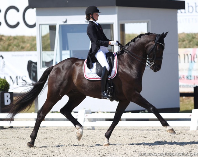 Sophia Ludvigsen and Gorklintgaards Jericho at the 2018 CDIO Uggerhalne :: Photo © Astrid Appels