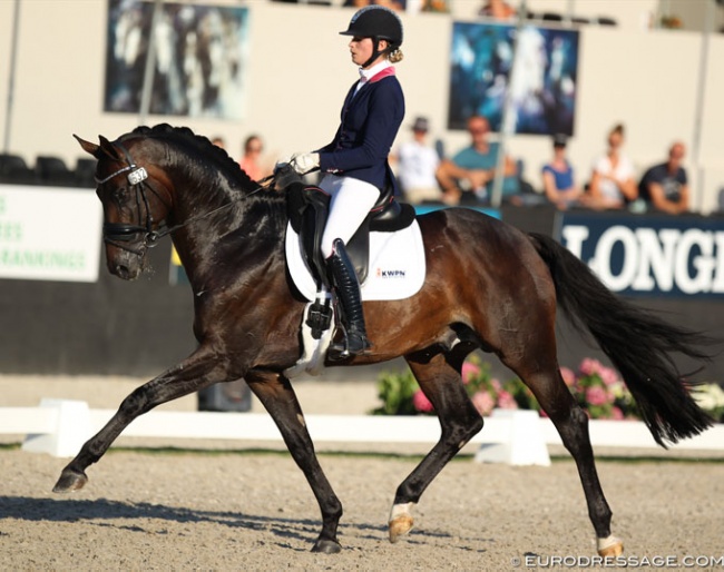Dinja van Liere and Hermes at the 2018 World Young Horse Championships :: Photo © Astrid Appels