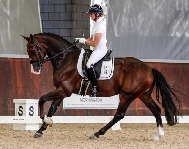 Maree Tomkinson and Neo at the 2019 CDN Boneo Classic :: Photo © Amy-Sue Alston
