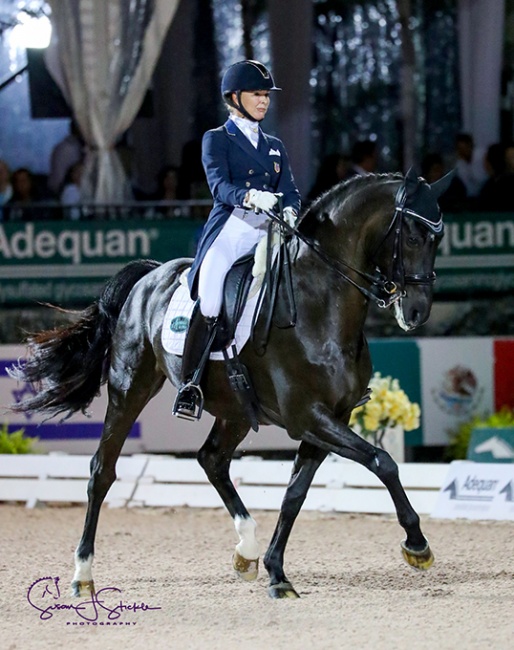 Katherine Bateson Chandler and Alcazar at the 2019 CDI Wellington :: Photo © Sue Stickle