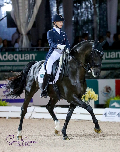 Katherine Bateson Chandler and Alcazar at the 2019 CDI Wellington :: Photo © Sue Stickle