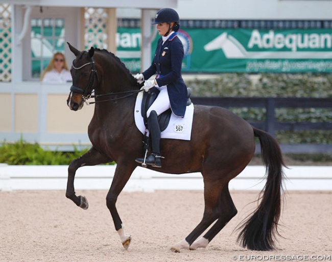 Ashley Holzer and Valentine at the 2019 CDI Wellington :: Photo © Astrid Appels