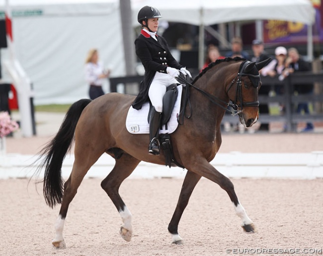 Belinda Trussell on Carlucci at the 2019 CDI Wellington :: Photo © Astrid Appels