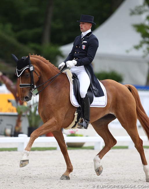 Jean Philippe Siat and Lovesong at the 2017 CDIO Compiegne :: Photo © Astrid Appels