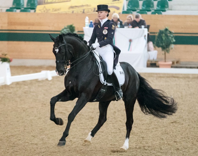 Victoria Max-Theurer and Fackeltanz at the 2019 CDI Ebreichsdorf :: Photo © Michael Rzepa