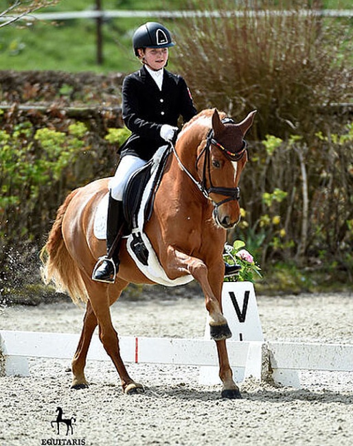 The 12-year old Lara Middelberg on Drink Pink at the 2019 Preis der Besten qualifier in Hagen :: Photo © Equitaris