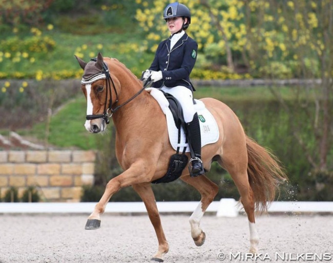 Frederike Feldhaus and Delray at the 2019 Preis der Besten Qualifier in Kronberg :: Photo © Mirka Nilkens