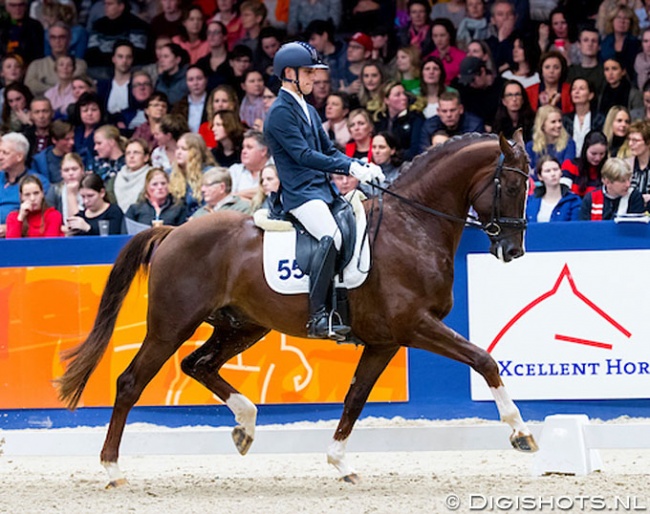 Curro Benitez Sanchez on Kyton Platinum at the 2019 KWPN Stallion Licensing show :: Photo © Digishots