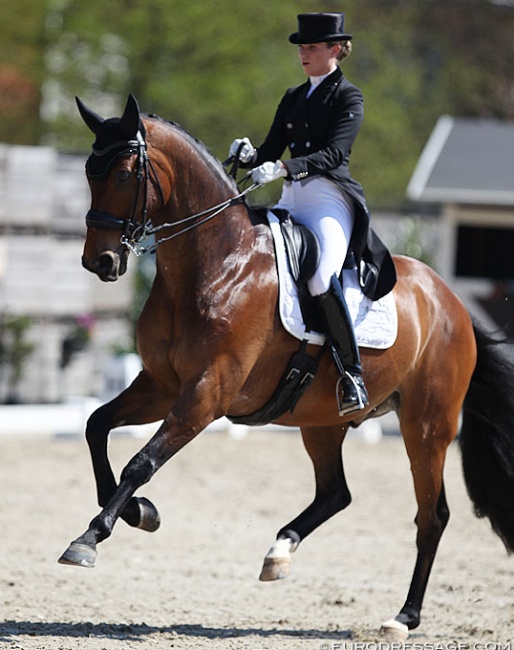 Morgan Barbançon Mestre and Bolero at the 2019 CDI Sint-Truiden :: Photo © Astrid Appels