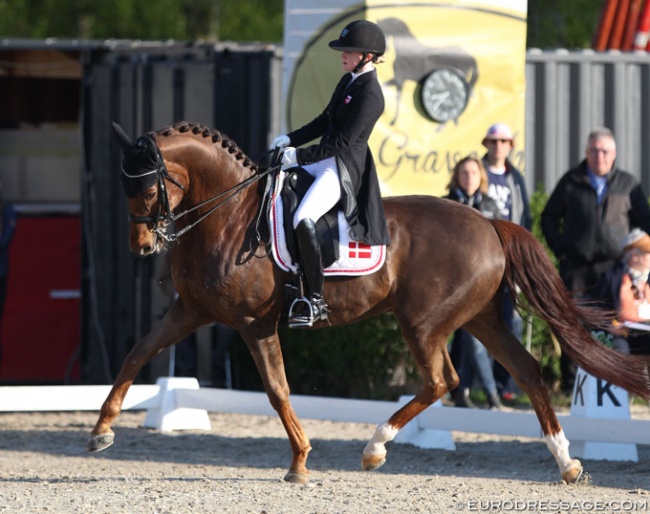 Sara Aagaard Hyrm and Skovborgs Romadinov at the 2019 CDI Sint-Truiden :: Photo © Astrid Appels