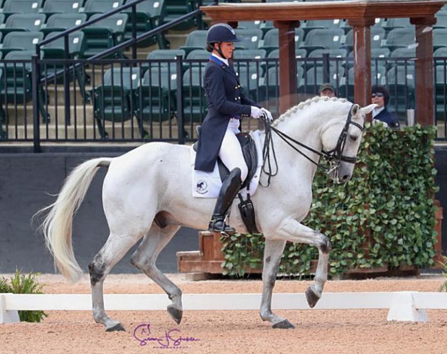 Adrienne Lyle and Harmony's Duval at the 2019 CDI Tryon :: Photo © Sue Stickle