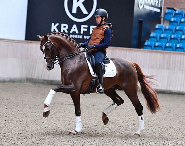 Severo Jurado Lopez and Eye Catcher at the 2019 Danish warmblood late licensing :: Photo © Ridehesten