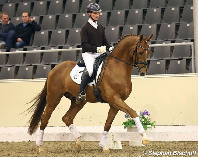 Stephan Bischoff test riding Borsalino at the performance testing in Verden in 2017 :: Photo © Stephan Bischoff