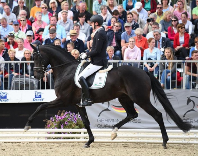 Kapche and Spökenkieker V at the 2018 Bundeschampionate :: Photo © private