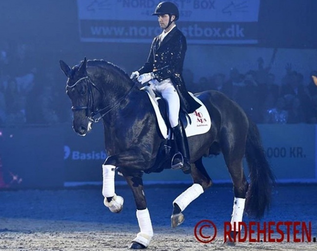 Andreas Helgstrand and Addict de Massa :: Photo © Ridehesten