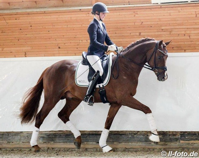 Viva Gold (by Vivaldo x For Romance x Don Schufro) :: Photo © LL-foto