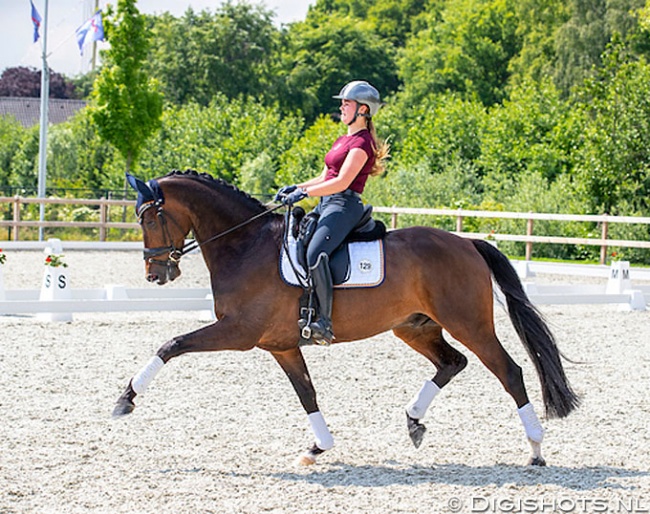 Quinty Vossers and Inferno at the second Dutch WCYH selection trial in Nunspeet :: Photo © Digishots