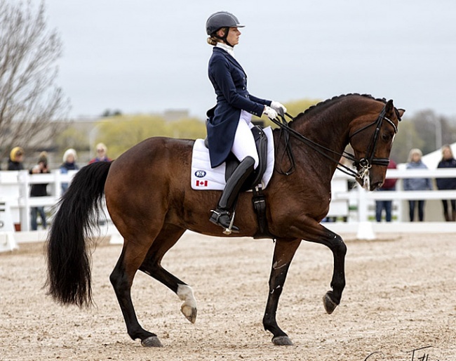 Tina Irwin and Fancy That at the 2019 CDI Ottawa :: Photo © Cealy Tetley