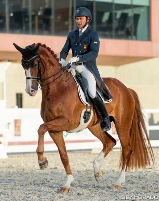 Jordi Domingo and Sonata DSH at the 2019 CDI Segovia :: Photo © Lily Forado