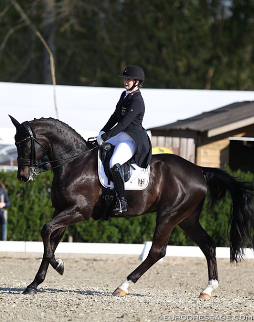 Valentina Pistner and Flamboyant at the 2019 CDI Sint-Truiden :: Photo © Astrid Appels