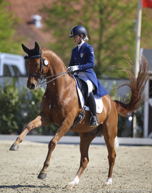 Italian Under 25 rider Francesca Rapazzoli on Rhadamanthus at the 2019 CDI Sint-Truiden :: Photo © Astrid Appels