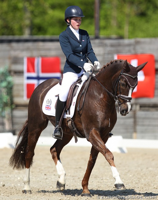 Steffi Tomlinson on Vivassa at the 2019 CDI Sint-Truiden :: Photo © Astrid Appels