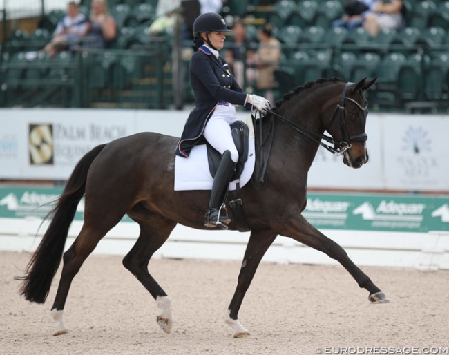 Ashley Holzer and Valentine at the 2019 CDI Wellington :: Photo © Astrid Appels