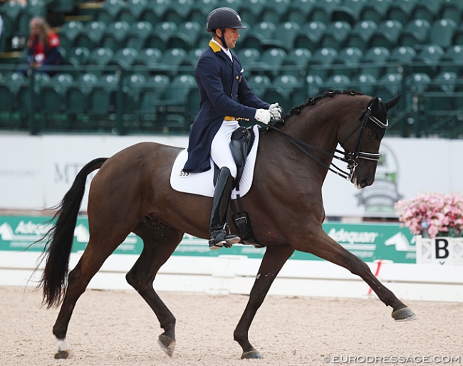 Endel Ots and Lucky Strike at the 2019 CDI Wellington :: Photo © Astrid Appels