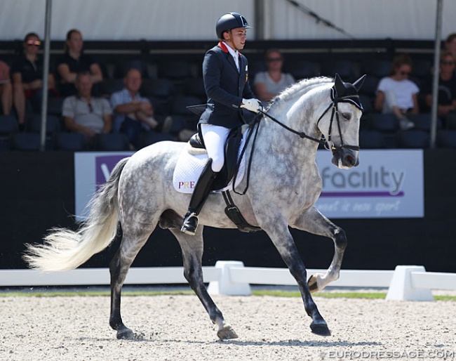 Lucas Marin on Solo de Centurion at the 2018 World Young Horse Championships :: Photo © Astrid Appels