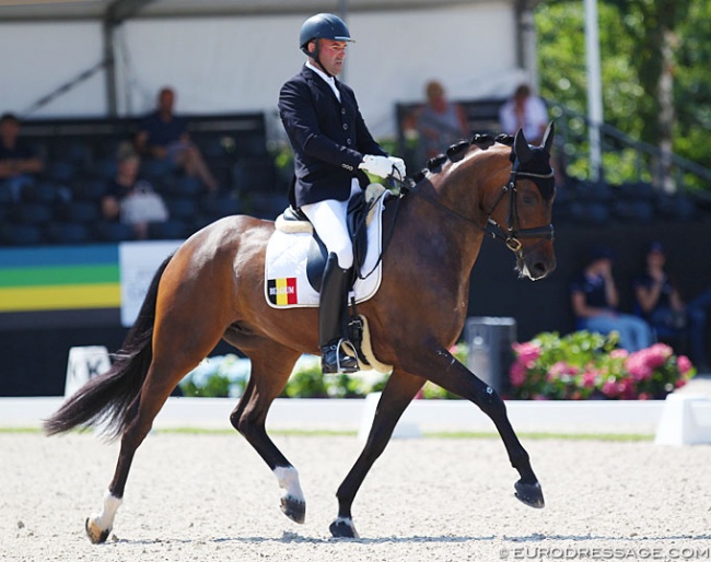 Nick van Laer and Conan at the 2018 World Young Horse Championships :: Photo © Astrid Appels