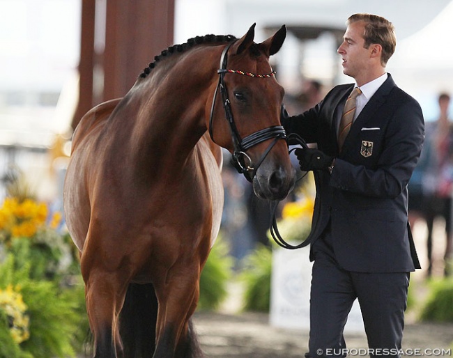 Sönke Rothenberger and Cosmo at the horse inspection at the 2018 World Equestrian Games :: Photo © Astrid Appels