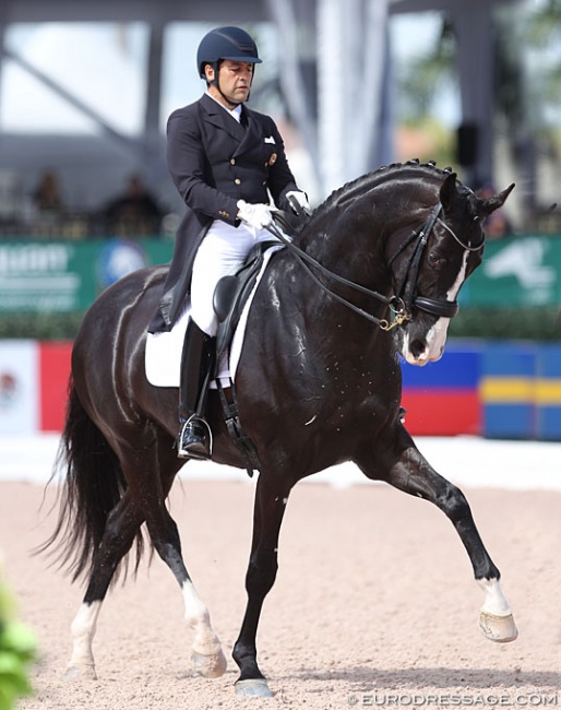 Raul Corchuelo and Senorita at the 2018 CDI Wellington :: Photo © Astrid Appels