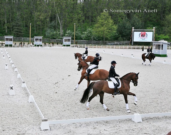 Stable Unikornis in Pilisjászfalu (HUN) will host the 2020 European Children and Under 25 Championships :: Photo © Anett Samogyvari