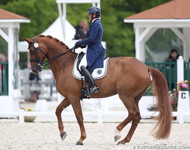 Nicole Favereau on Ginsengue at the 2019 CDIO Compiègne :: Photo © Astrid Appels