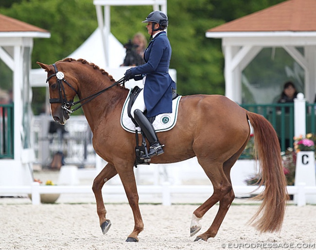 Nicole Favereau on Ginsengue at the 2019 CDIO Compiègne :: Photo © Astrid Appels