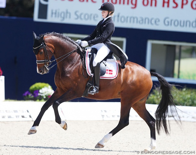 Frederikke Gram Jacobsen on Ryvangs Zafina at the 2019 CDIO-J Hagen :: Photo © Astrid Appels