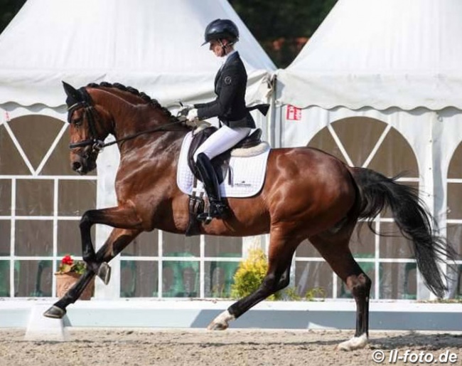 Eva Möller and Espe at the 2019 Bundeschampionate qualifier at Hof Kasselmann :: Photo © LL-foto