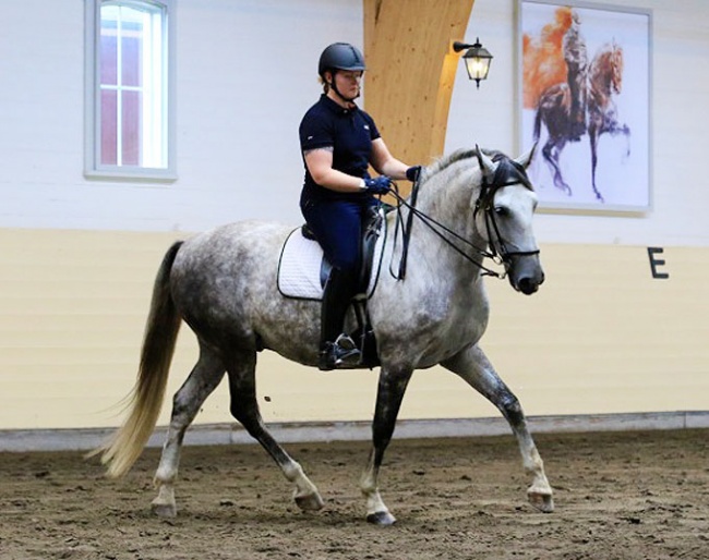 A horse moving in a frame that allows him to use his body moves in balance :: Photo © Silke Rottermann