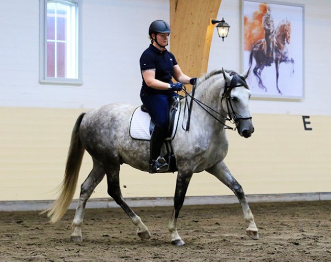 A horse moving in a frame that allows him to use his body moves in balance :: Photo © Silke Rottermann