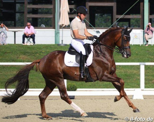 Severo Jurado Lopez and D'Avie at the 2019 German WCYH selection trial in Warendorf :: Photo © LL-foto